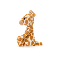 Bashful LIttle Giraffe