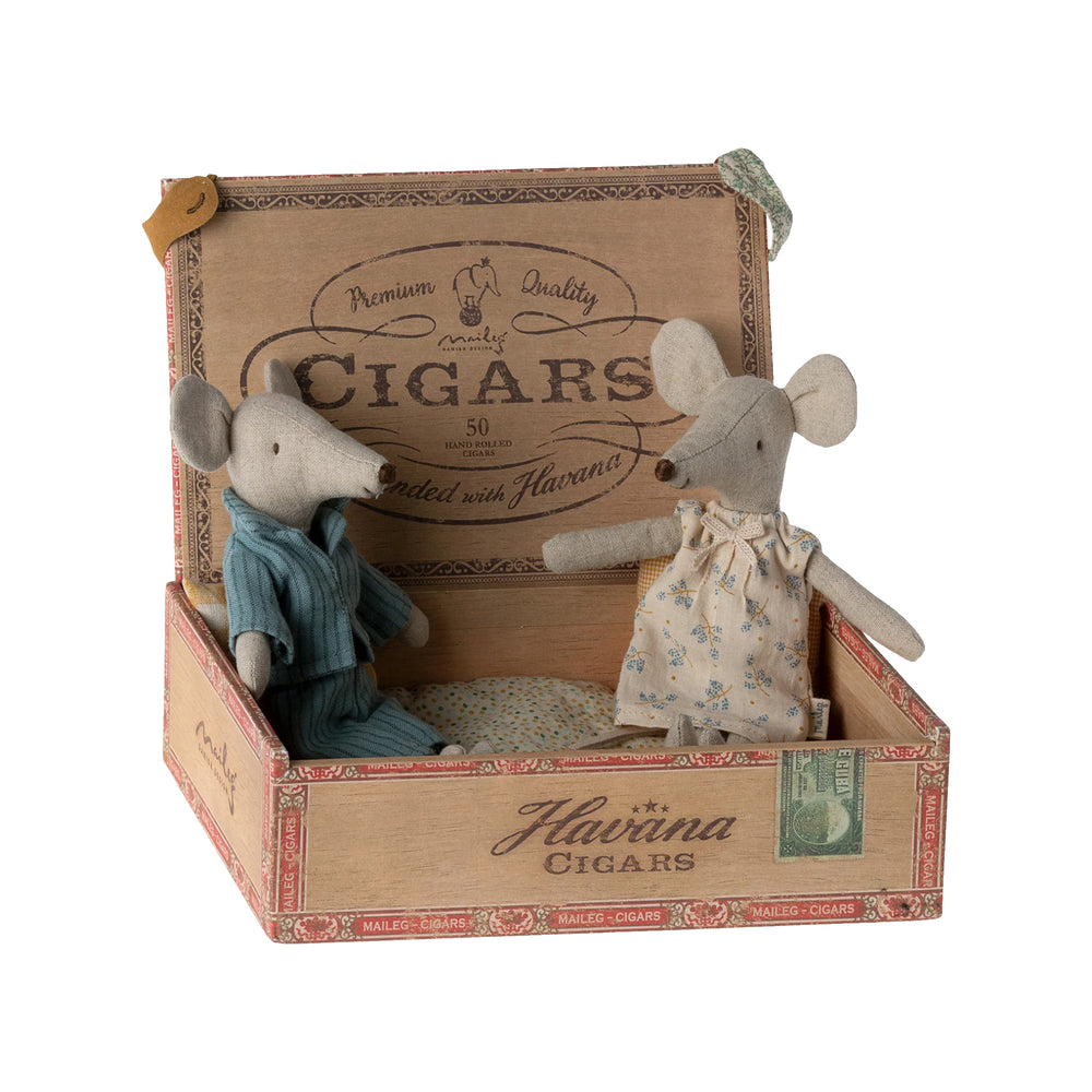 Mum and Dad Mice in Cigarbox